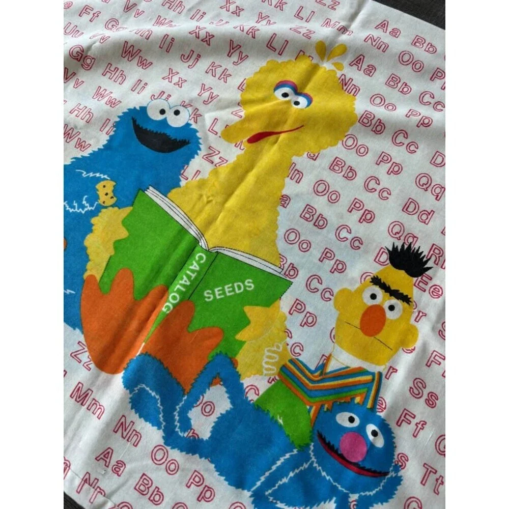 VTG Sesame Street standard size pillow case ABCs